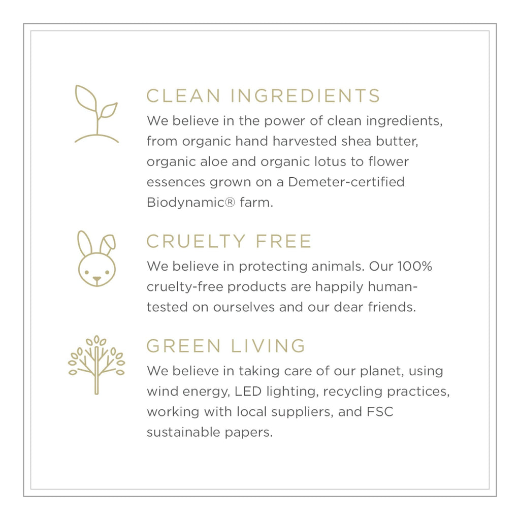 ZENTS Hand & Body Wash (Petal) – Hydrating Cleanser with Organic Shea Butter & Aloe, 10 oz