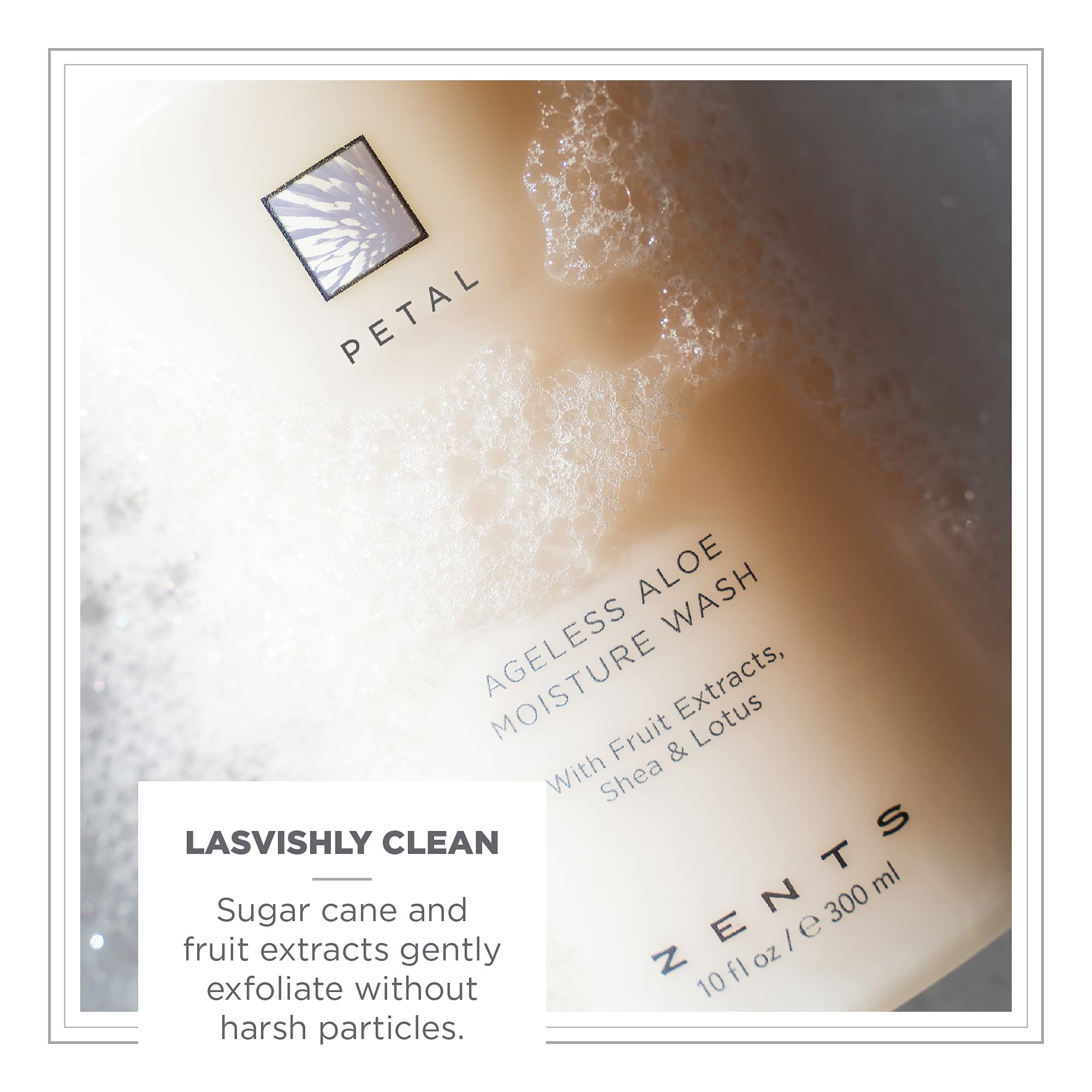 ZENTS Hand & Body Wash (Petal) – Hydrating Cleanser with Organic Shea Butter & Aloe, 10 oz