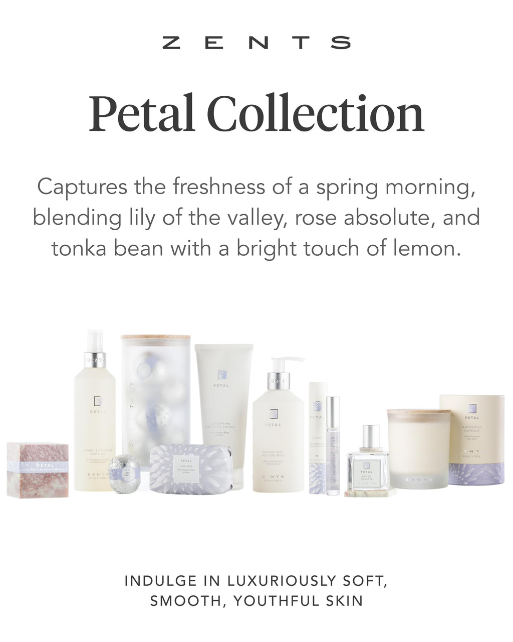 Zents Age-Defying Probiotic Body and Hand Lotion (Petal) | Hyaluronic Acid and Organic Shea Butter | 6.4 fl oz