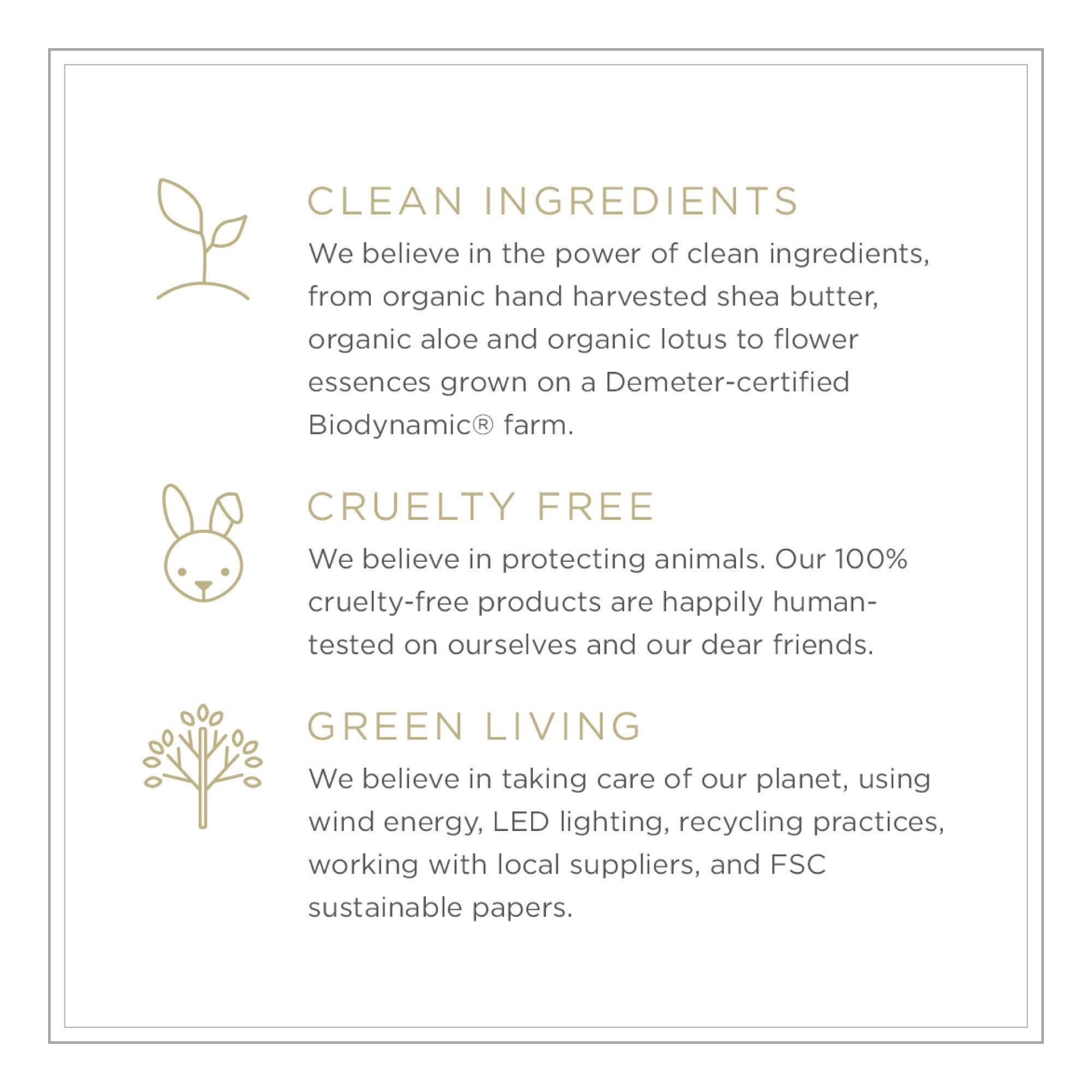 ZENTS Hand & Body Wash (Sun Fragrance) — Hydrating, Age-Defying Cleanser with Organic Shea Butter & Aloe | 10 fl oz